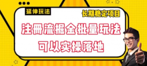 注册流掘金批量玩法，可以实操落地【揭秘】-虚拟资源库
