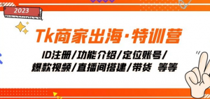 Tk商家出海·特训营:ID注册/功能介绍/定位账号/爆款视频/直播间搭建/带货-虚拟资源库
