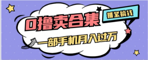 0撸项目月入过万，售卖全套ai工具合集，一单29.9元，一部手机即可【揭秘】-虚拟资源库