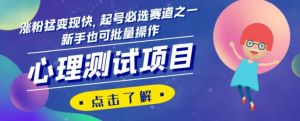 心理测试项目,涨粉猛变现快,起号必选赛道之一,新手也可批量操作【揭秘】-虚拟资源库