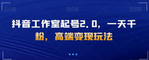 抖音工作室起号2.0,一天千粉,高端变现玩法【揭秘】-虚拟资源库