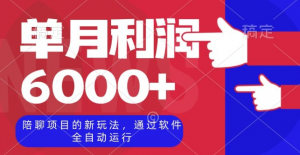 陪聊项目的新玩法，通过软件全自动运行，单月利润6000+【揭秘】-虚拟资源库