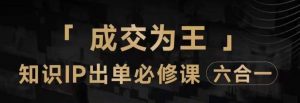 抖音知识IP直播登顶营（六合一），​三倍流量提升秘诀，七步卖课实操演示，内容爆款必修指南-虚拟资源库