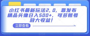 小红书最新玩法2.0,靠发布精品头像日入500+,可多账号放大收益!【揭秘】-虚拟资源库