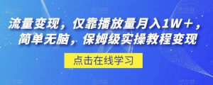 流量变现，仅靠播放量月入1W＋，简单无脑，保姆级实操教程【揭秘】-虚拟资源库