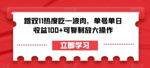 蹭双11热度吃一波肉,单号单日收益100+可复制放大操作【揭秘】-虚拟资源库