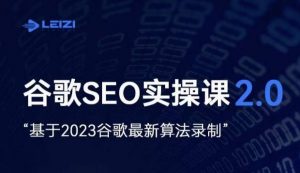 雷子·谷歌SEO 2.0实战课,独立站询盘自由必备,基于2023谷歌最新算法录制-虚拟资源库