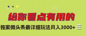 独家微头条最详细玩法，月入3000+【揭秘】-虚拟资源库