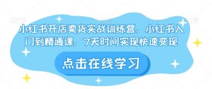 小红书开店卖货实战训练营，小红书入门到精通课，7天时间实现快速变现-虚拟资源库