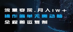 流量变现，月入1W+操作简单无需动脑全程搬运复制【揭秘】-虚拟资源库