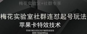 梅花实验室社群视频号连怼起号玩法，最新苹果卡特效技术-虚拟资源库