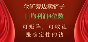 金矿旁边卖铲子,赚确定性的钱,可矩阵,可收徒,日均利润4位数【揭秘】-虚拟资源库