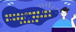 淘宝电商入门到精通（新手篇+运营篇），带你开启淘系电商之路-虚拟资源库