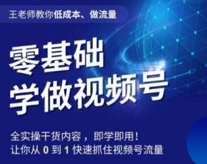 王老师教你低成本、做流量,零基础学做视频号,0-1快速抓住视频号流量-虚拟资源库