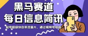 黑马赛道每日信息简讯，起号超级快自带流量大，通过视频号收益【揭秘】-虚拟资源库