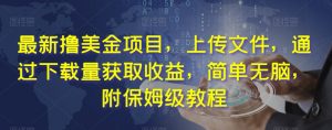 最新撸美金项目,上传文件,通过下载量获取收益,简单无脑,附保姆级教程【揭秘】-虚拟资源库