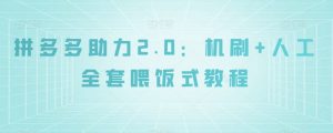 拼多多助力2.0：机刷+人工全套喂饭式教程【揭秘】-虚拟资源库