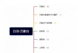 白羽·直引万搜索全篇，从0-1，多个类目实操经验总结付费-虚拟资源库