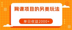 网课项目的另类玩法，单日收益2000+【揭秘】-虚拟资源库