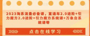 023淘系流量必备课，直通车2.0进阶+引力魔方2.0进阶+引力魔方系统课+万象台系统课等-虚拟资源库