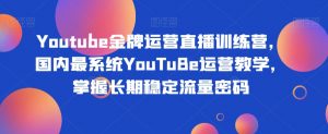 Youtube金牌运营直播训练营,国内最系统YouTuBe运营教学,掌握长期稳定流量密码-虚拟资源库