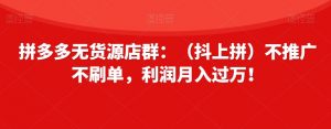 拼多多无货源店群:(抖上拼)不推广不刷单,利润月入过万!【揭秘】-虚拟资源库