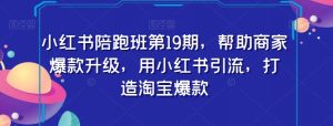 小红书陪跑班第19期,帮助商家爆款升级,用小红书引流,打造淘宝爆款-虚拟资源库
