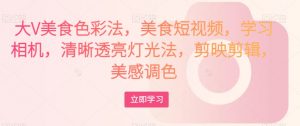 大V美食色彩法，美食短视频，学习相机，清晰透亮灯光法，剪映剪辑，美感调色-虚拟资源库