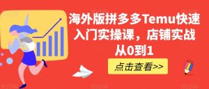 海外版拼多多Temu快速入门实操课，店铺实战从0到1-虚拟资源库