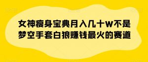 女神瘦身宝典月入几十W不是梦空手套白狼赚钱最火的赛道【揭秘】-虚拟资源库