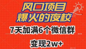 全网首发，爆火的夜校，7天加满6个微信群，变现2w+【揭秘】-虚拟资源库