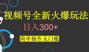 视频号最新爆火玩法，日入300+，简单操作无门槛【揭秘】-虚拟资源库