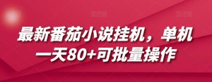 最新番茄小说挂机,单机一天80+可批量操作【揭秘】-虚拟资源库