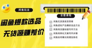 闲鱼无货源赚差价进阶玩法，爆款选品，资源寻找，引流变现全套教程（11节课）【揭秘】-虚拟资源库