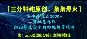 三分钟制作视频号纯原创，条条爆款，轻松月入过万【揭秘】-虚拟资源库