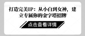 打造完美IP:从小白到女神,建立专属你的金字塔招牌-虚拟资源库