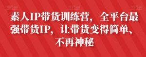 素人IP带货训练营,全平台最强带货IP,让带货变得简单、不再神秘-虚拟资源库