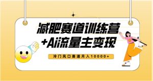 全新减肥赛道AI流量主+训练营变现玩法教程，蓝海冷门赛道小白轻松上手，月入10000+-虚拟资源库