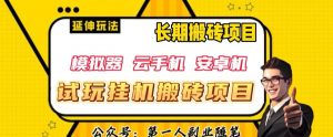 三端试玩挂机搬砖项目(模拟器+云手机+安卓机),单窗口试玩搬砖利润在30+到40+【揭秘】-虚拟资源库