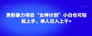 男粉暴力项目“女神计划”小白也可轻松上手，单人日入上千+【揭秘】-虚拟资源库