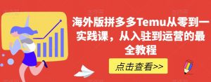 海外版拼多多Temu从零到一实践课,从入驻到运营的最全教程-虚拟资源库