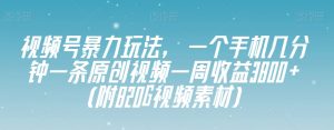 视频号暴力玩法，一个手机几分钟一条原创视频一周收益3800+（附820G视频素材）-虚拟资源库
