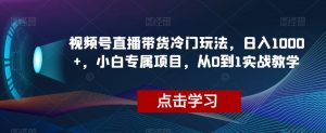 视频号直播带货冷门玩法，日入1000+，小白专属项目，从0到1实战教学【揭秘】-虚拟资源库