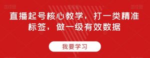 直播起号核心教学,打一类精准标签,做一级有效数据-虚拟资源库