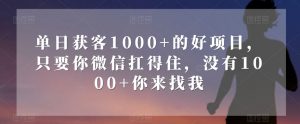 单日获客1000+的好项目，只要你微信扛得住，没有1000+你来找我【揭秘】-虚拟资源库