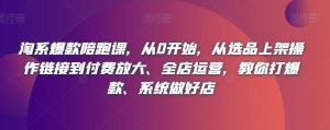 淘系爆款陪跑课，从0开始，从选品上架操作链接到付费放大、全店运营，教你打爆款、系统做好店-虚拟资源库