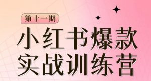 小红书博主爆款训练营第11期,手把手教你从0-1做小红书,从定位到起号到变现-虚拟资源库