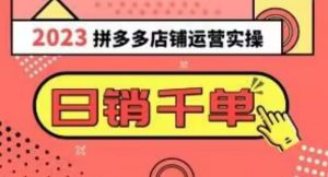 2023拼多多运营实操,每天30分钟日销1000+,爆款选品技巧大全(10节课)-虚拟资源库