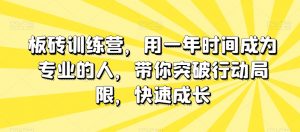 板砖训练营,用一年时间成为专业的人,带你突破行动局限,快速成长-虚拟资源库