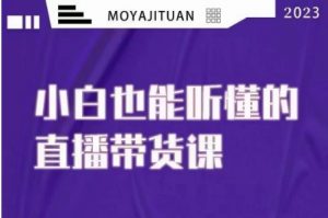 大威本威·能听懂的直播带货课,小白也能听懂,20节完整-虚拟资源库